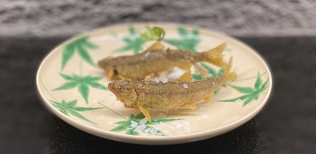 IZARIYA-座屋-高知